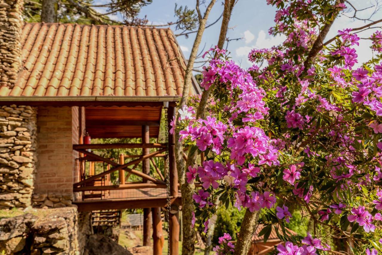 Chales Araucaria E Manaca Sao Bento do Sapucai Bagian luar foto