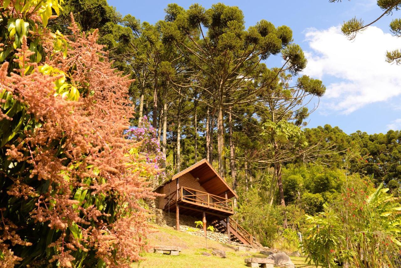 Chales Araucaria E Manaca Sao Bento do Sapucai Bagian luar foto