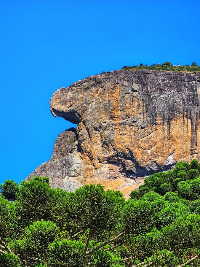 Chales Araucaria E Manaca Sao Bento do Sapucai Bagian luar foto