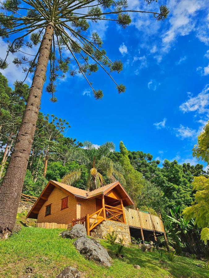 Chales Araucaria E Manaca Sao Bento do Sapucai Bagian luar foto