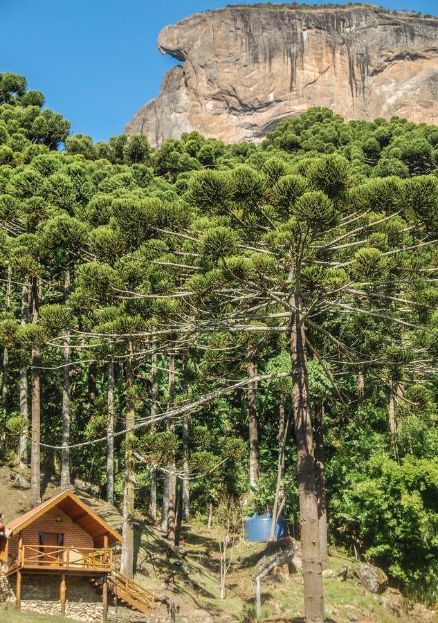 Chales Araucaria E Manaca Sao Bento do Sapucai Bagian luar foto