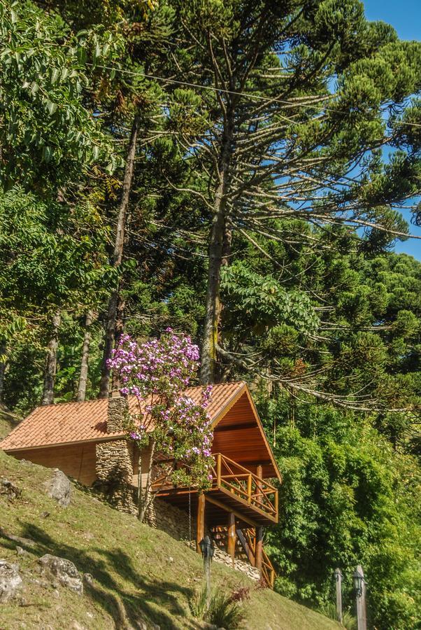 Chales Araucaria E Manaca Sao Bento do Sapucai Bagian luar foto
